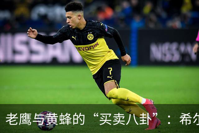 老鹰与黄蜂的“买卖八卦”：希尔德换芬尼-史密斯，有戏？